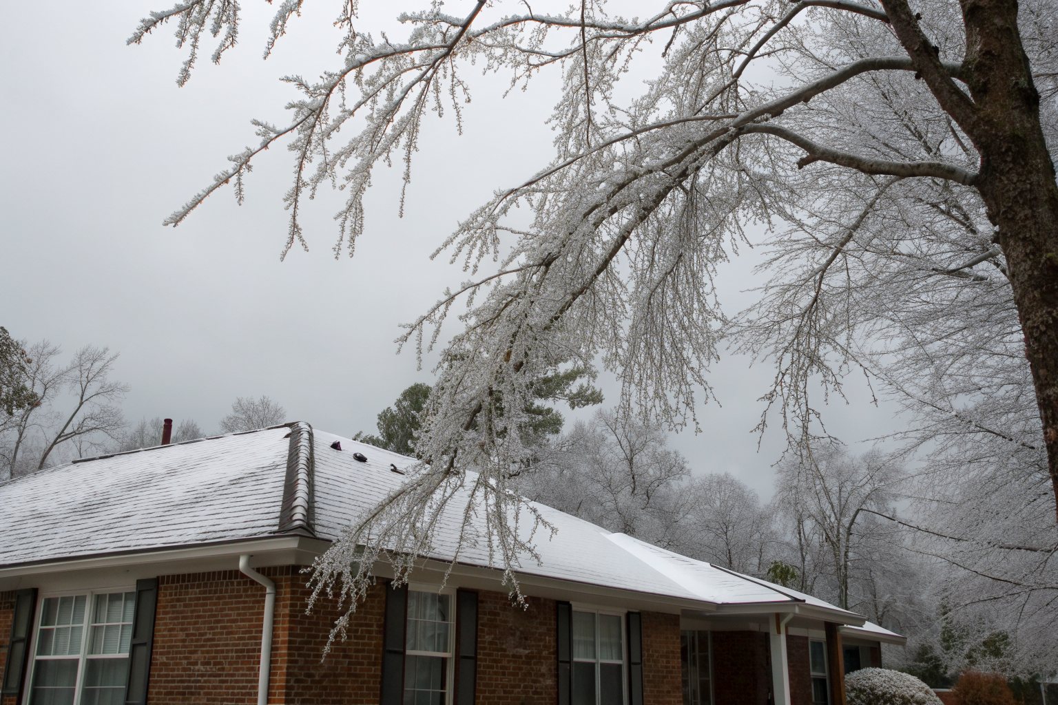 Ice-coated branches hanging over the snow-dusted roof of a brick house on a gray winter day