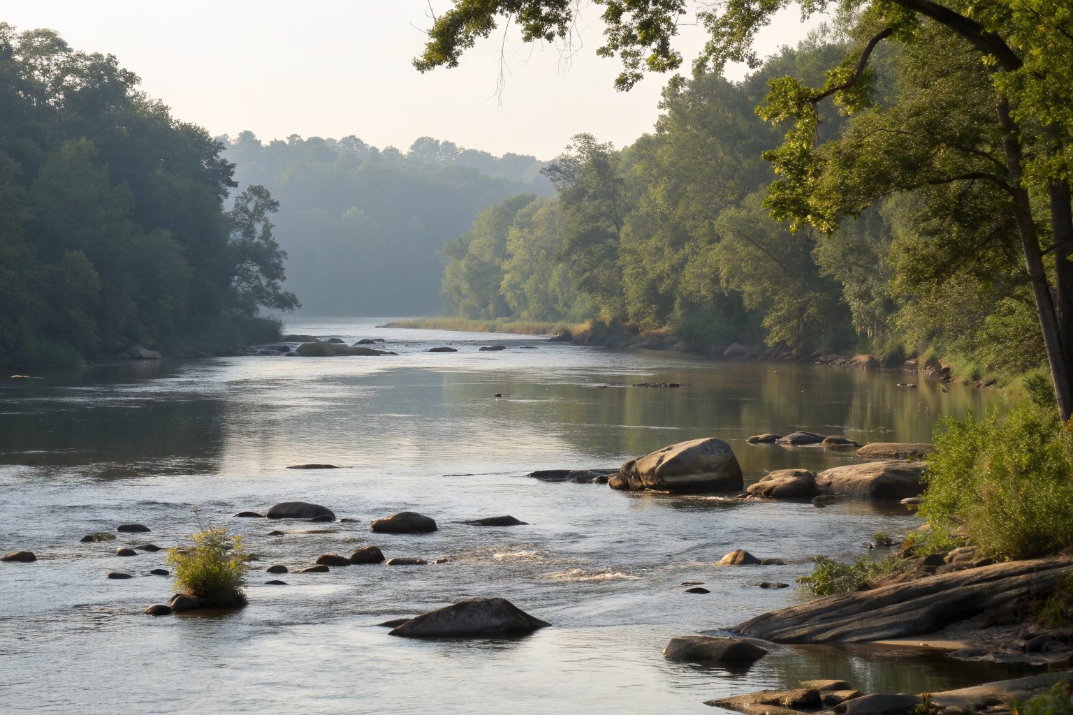 A wide river running over rocky shoals between wooded banks in soft morning light