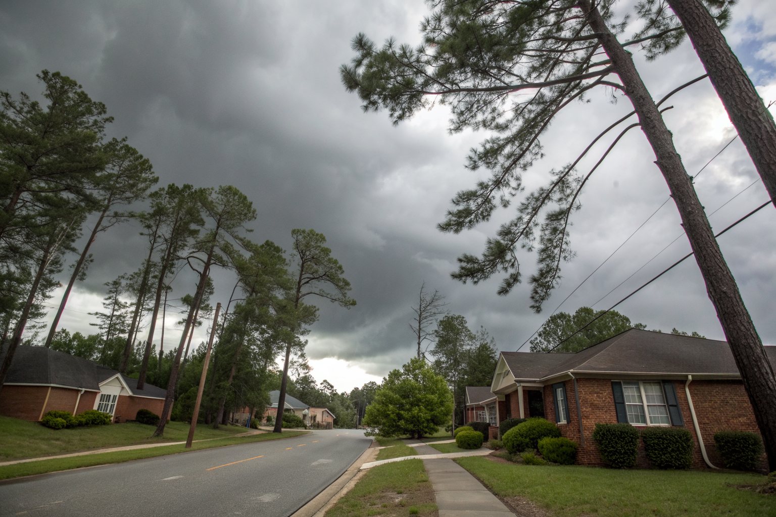 Tall pines bending in storm wind over a quiet street of brick ranch homes under dark clouds